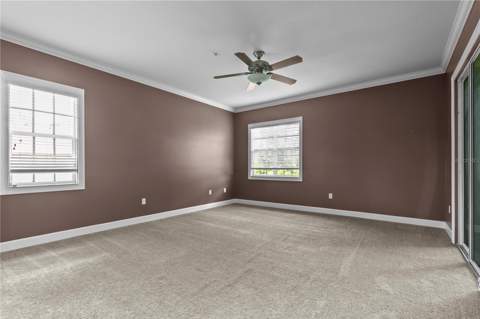 11504 Bellamar Street, Tampa FL - photo 22 of 40