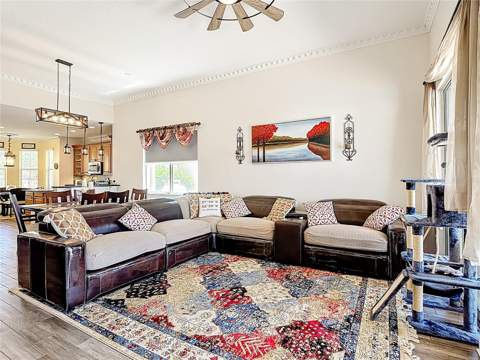 3843 Golden Knot Drive, Kissimmee FL - photo 8 of 36