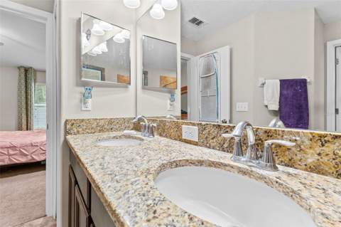 12211 Ballentrae Forest Drive, Riverview FL - photo 13 of 29