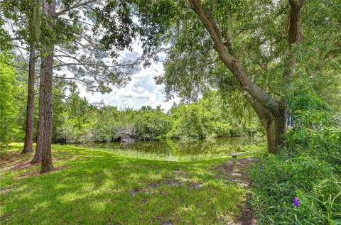 6026 Sandhill Ridge Drive, Lithia FL - photo 18 of 31