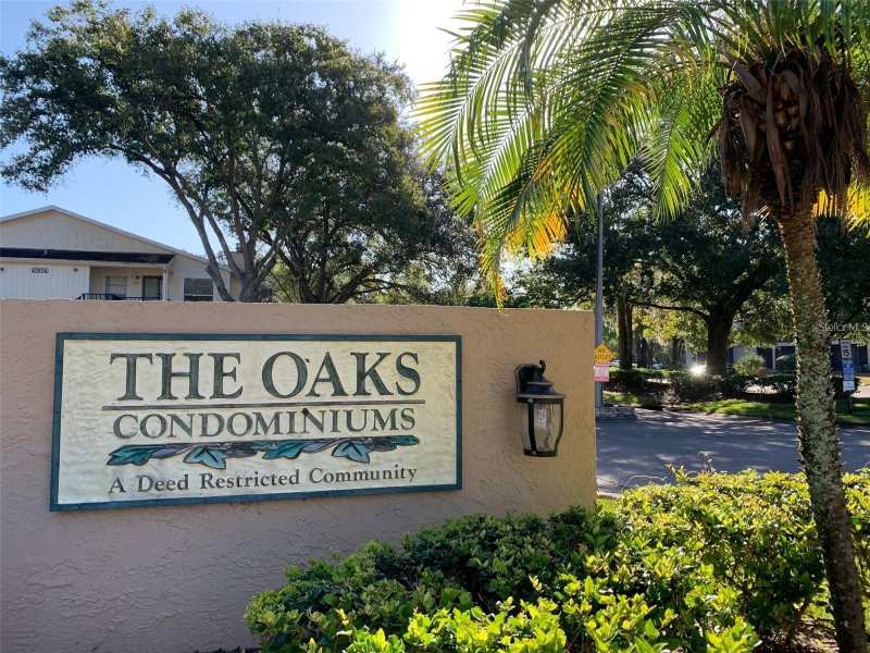 2 bedroom Condominium at 14225 Shadow Moss Lane #102, The Oaks Unit IV A Condo, Tampa — photo 1