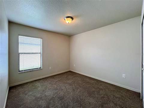 36095 Carriage Pine Court, Zephyrhills FL - photo 21 of 28