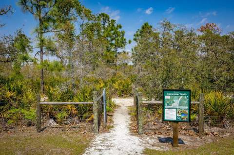 6713 Rucksack Road, St Cloud FL - photo 22 of 22