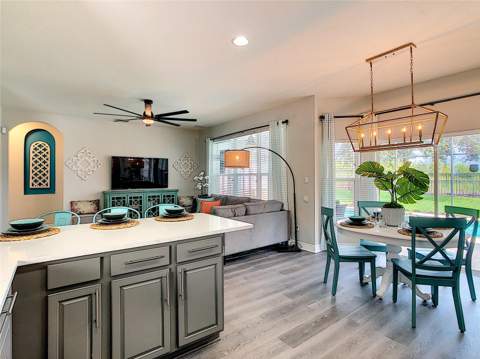 7805 Beechfield Street, Kissimmee FL - photo 16 of 52