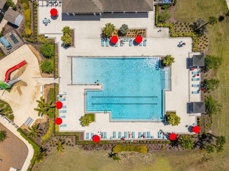 5 bedroom Single Family Residence at 3703 Globe Thistle Drive, Touchstone Ph 2, Tampa — photo 4