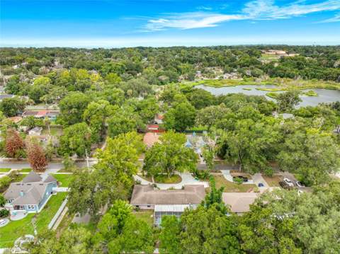 300 Pinecrest Road, Mount Dora FL - photo 6 of 6