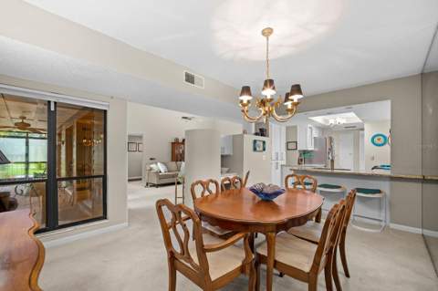 5019 Umber Way, Tampa FL - photo 7 of 33