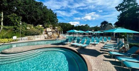 1620 Sandhill Court, Palm Harbor FL - photo 6 of 6