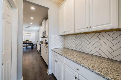 11301 Alachua Creek Lane, Riverview FL - photo 11 of 42