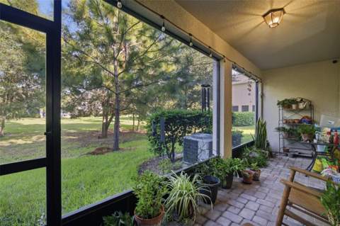 14215 Pondhawk Lane, Tampa FL - photo 6 of 47