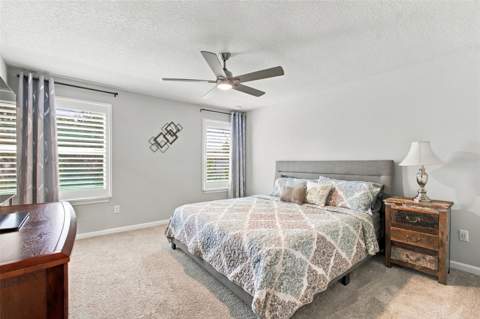 4242 Cloud Hopper Way, Lutz FL - photo 10 of 66