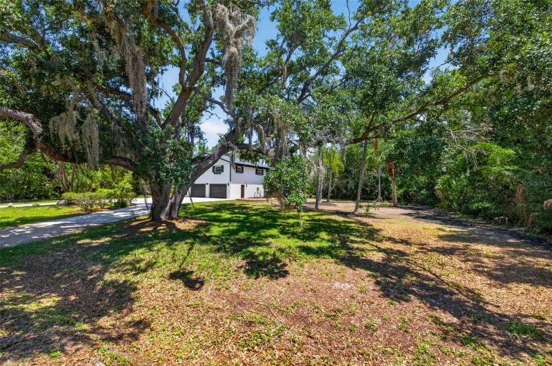 3 bedroom Single Family Residence at 1007 State Street, Country Club Add To Oldsmar Rev, Oldsmar — photo 4
