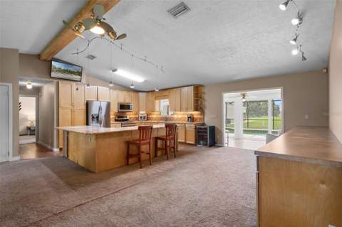 2921 Lake Tohopekaliga Boulevard, Kissimmee FL - photo 13 of 63