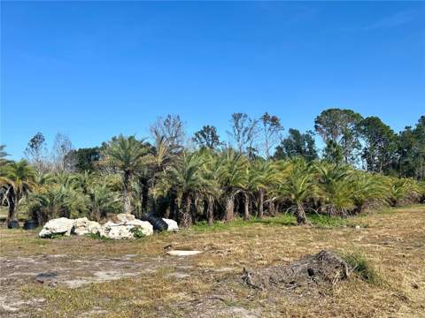12714 State Road 33, Groveland FL - photo 19 of 22