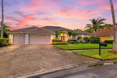 12012 Brewster Drive, home for sale in Tampa 33626