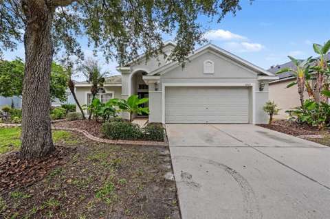 16312 Bridgecrossing Drive, home for sale in Lithia 33547