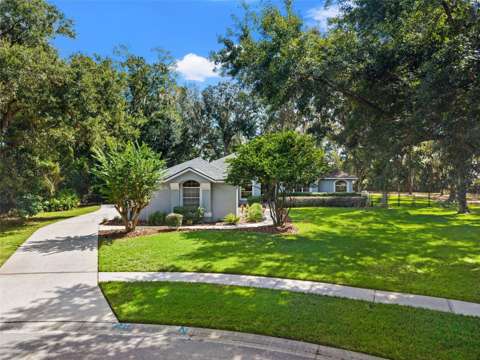 6029 Hammock Hill Avenue, home for sale in Lithia 33547