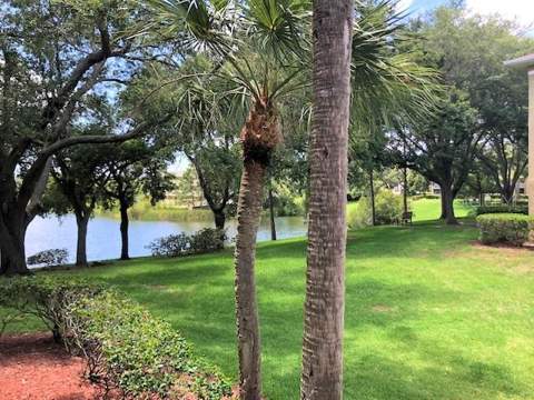 2690 Coral Landings Boulevard #438, Palm Harbor FL - photo 22 of 28