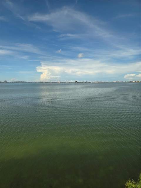 5980 Shore Boulevard #501, Gulfport FL - photo 7 of 32