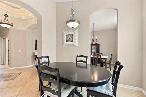 11009 Rockledge View Dr, Riverview FL - photo 13 of 92