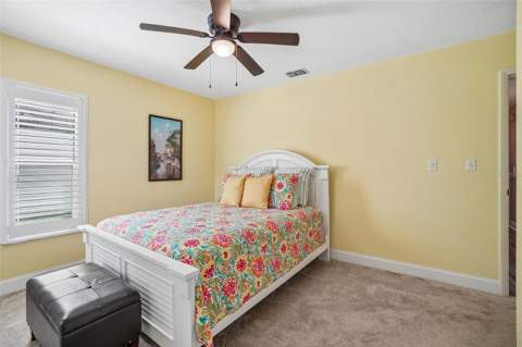971 Cortland Way, Palm Harbor FL - photo 24 of 31