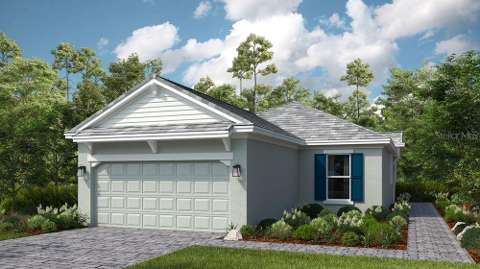 3801 Fraccareta Way, gated community for sale in Wesley Chapel