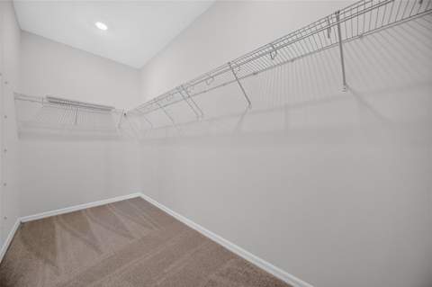 17637 Lake Star Road, Winter Garden FL - photo 19 of 34