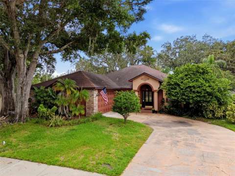 16502 Cayman Drive, home for sale in Tampa 33624