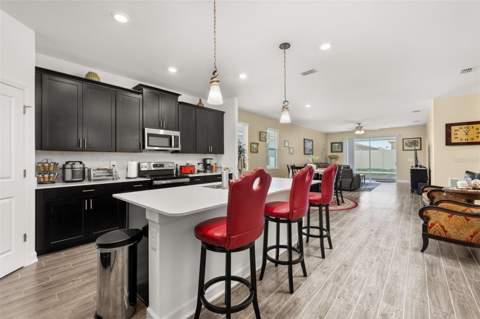 1739 Good Neighbor Loop, Kissimmee FL - photo 10 of 40
