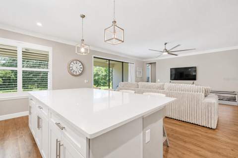 3870 Bowfin Trail, Kissimmee FL - photo 8 of 39