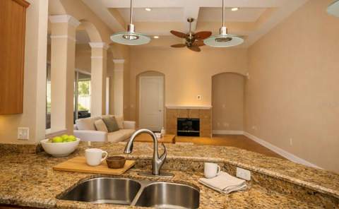 2461 Woodbark Street, Apopka FL - photo 9 of 26