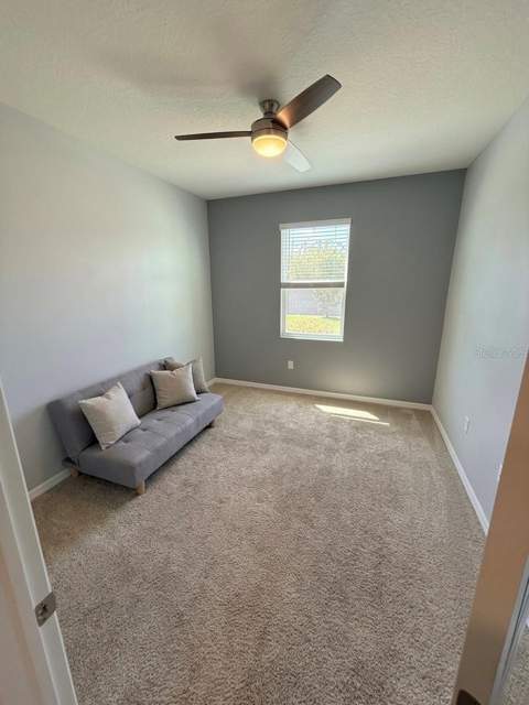 16910 Oval Rum Drive, Wimauma FL - photo 12 of 37
