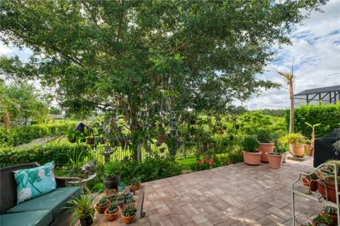 1651 Amsel Falls Park Terrace, Winter Garden FL - photo 23 of 31
