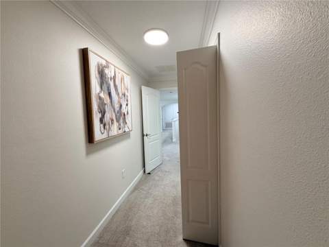2997 Buccaneer Palm Road, Kissimmee FL - photo 16 of 80
