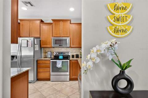 30539 Lipizzan Terrace, Mount Dora FL - photo 7 of 64