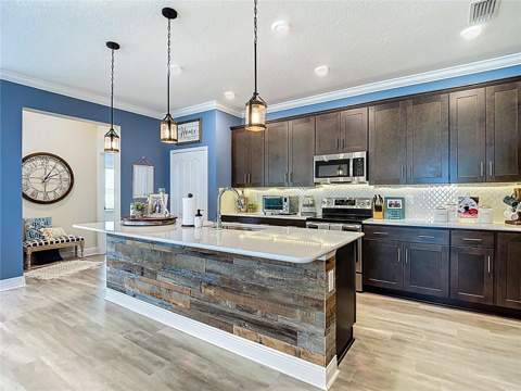 30980 Jazz Leaf Place, San Antonio FL - photo 14 of 50