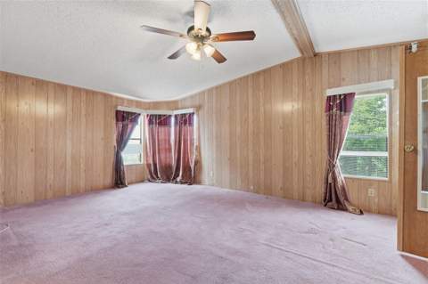 410 Dolphin Drive, Oldsmar FL - photo 17 of 29