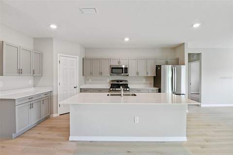 31670 Baronne Street, Wesley Chapel FL - photo 10 of 27