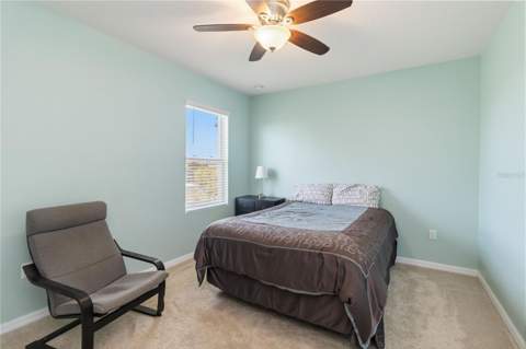 2464 White Poppy Drive, Kissimmee FL - photo 23 of 41