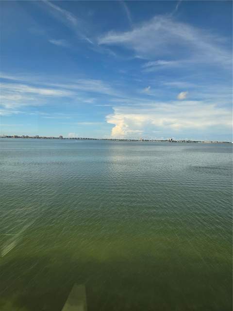 5980 Shore Boulevard #501, Gulfport FL - photo 8 of 32