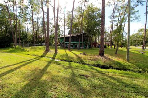 14712 Henson Road, Orlando FL - photo 6 of 6
