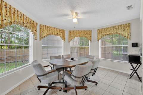 3602 Player Drive, New Port Richey FL - photo 14 of 42