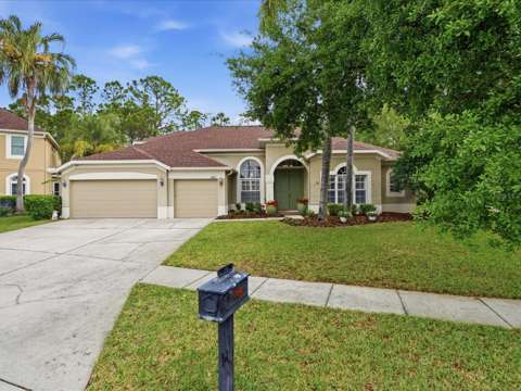 18931 Chaville Road, luxury home for sale in Lutz