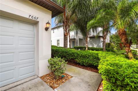 7667 Ginger Lily Court, Tampa FL - photo 6 of 62
