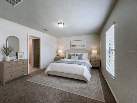 36095 Carriage Pine Court, Zephyrhills FL - photo 13 of 28