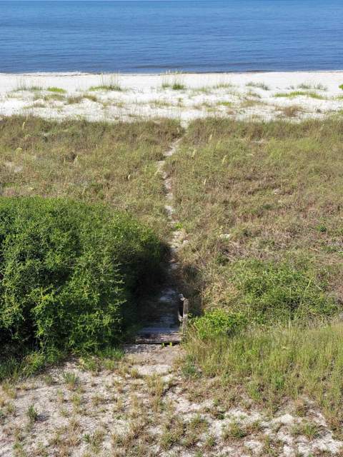 1433 Alligator Drive, Alligator Point FL - photo 12 of 13