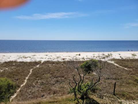 1433 Alligator Drive, Alligator Point FL - photo 8 of 13