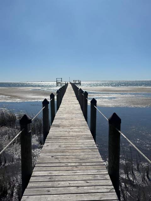 4522 St Teresa Landing, St Teresa FL - photo 17 of 53