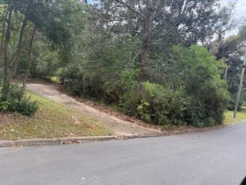 1107 Myers Park Drive, Tallahassee FL - photo 11 of 24