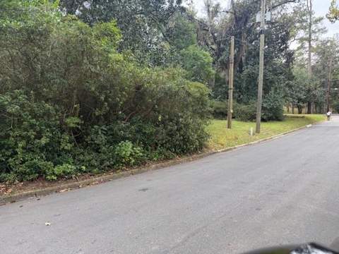 1107 Myers Park Drive, Tallahassee FL - photo 12 of 24